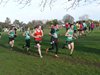 SW2014 (6)