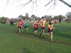 SW2014 (14)