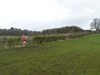 SW2014 (2)