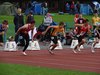 DSC06833-1