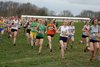 JoLa_0404
