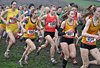 2019XC (13)
