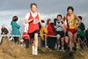 SWXC11ii 061