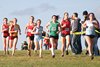 SWXC11ii 036
