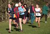 SSAAXC15 (53)
