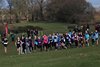 SSAAXC15 (21)