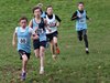 SSAAXC15 (39)