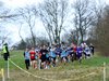 IMG_6453